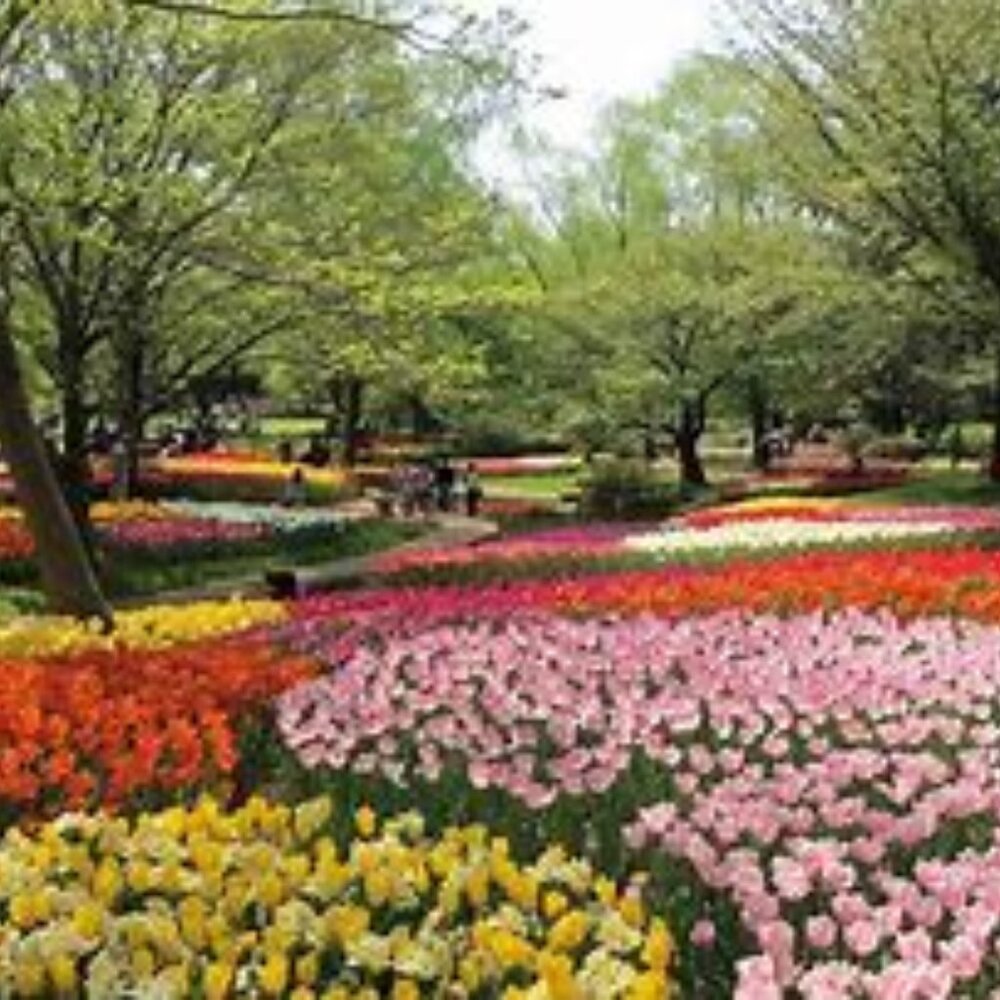 Introducing who I am .......